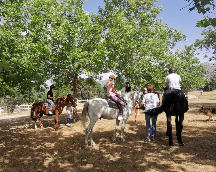 un grupo de jóvenes pasea a caballo por el campo en el Encuentro de Familias de Petales