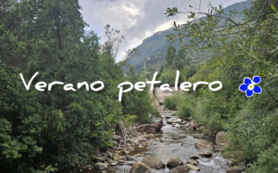 Petales España en el Camino de Santiago: naturaleza, convivencia y confianza