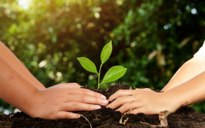 Día Mundial sin Alcohol: prevenir desde la infancia.