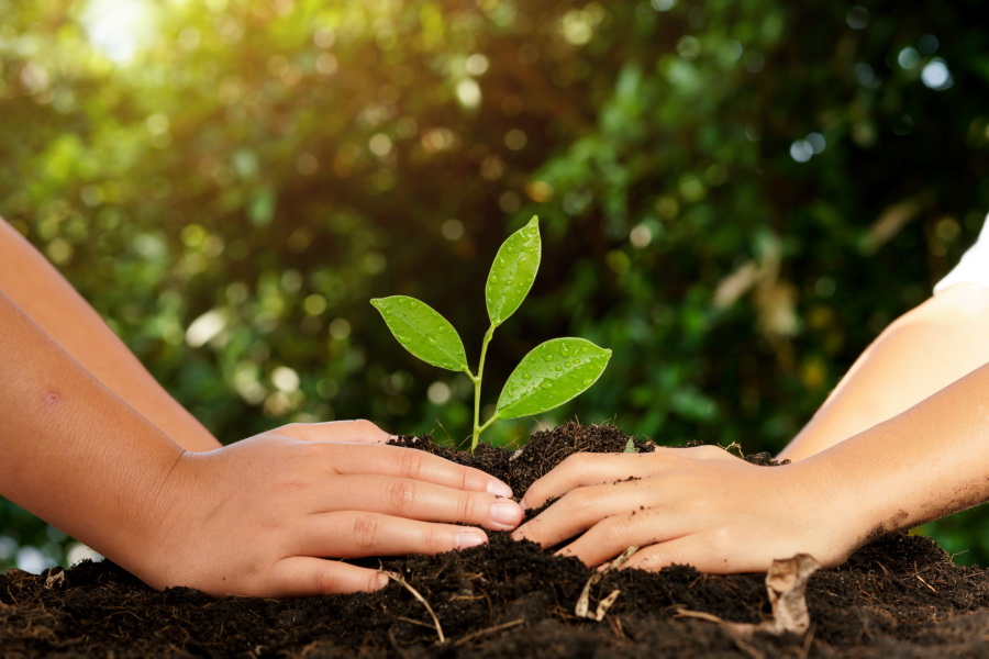 Día Mundial sin Alcohol Día Mundial sin Alcohol