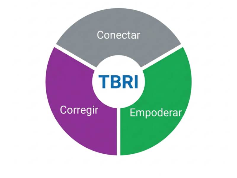 Qué es TBRI, Intervención Relacional Basada en la Confianza.